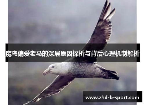 魔鸟偏爱老马的深层原因探析与背后心理机制解析