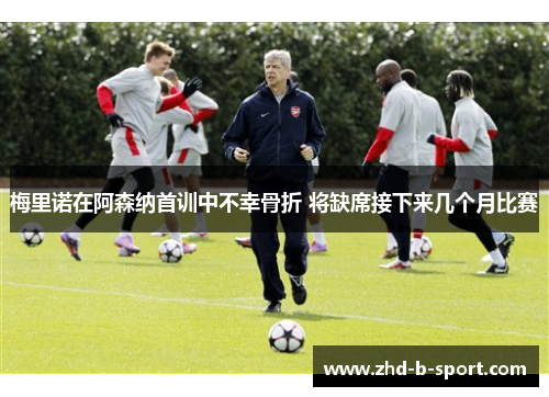 梅里诺在阿森纳首训中不幸骨折 将缺席接下来几个月比赛 梅里诺在阿森纳首训中不幸骨折 将缺席接下来几个月比赛